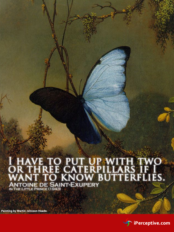 Antoine de Saint Exupery quotations butterfly
