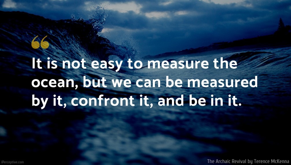 Terence McKenna Quote: It is not easy to measure the ocean, but we can be measured by it, confront it, and be in it.