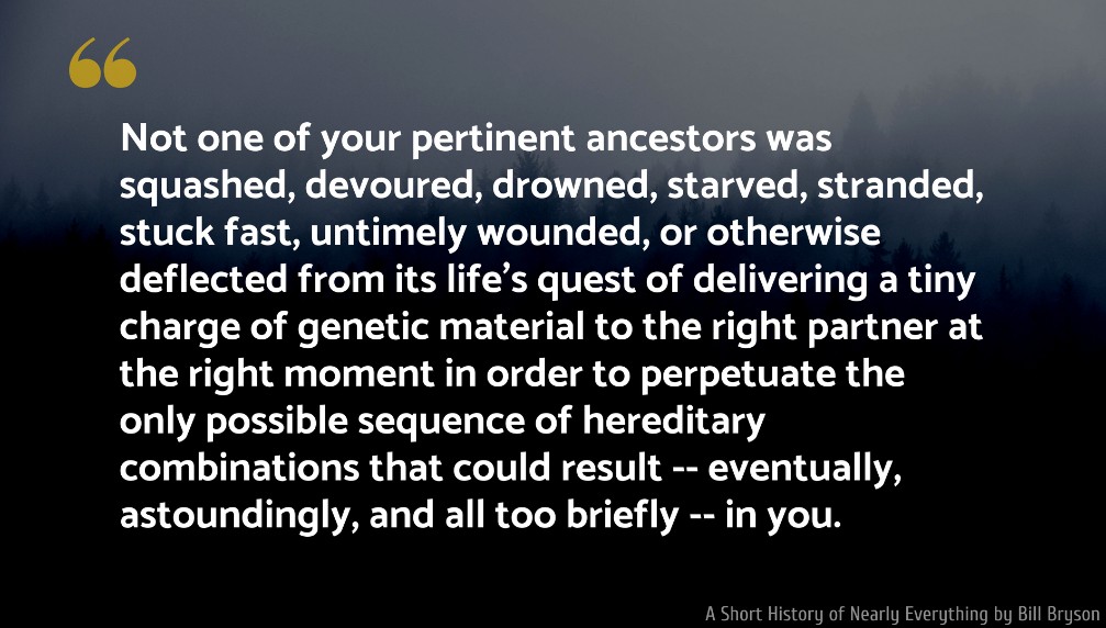 Bill Bryson Quote: Not one of your pertinent ancestors was squashed, devoured, drowned, starved, stranded, stuck fast, untimely wounded, or otherwise deflected from its life's quest of delivering a tiny charge of genetic material...