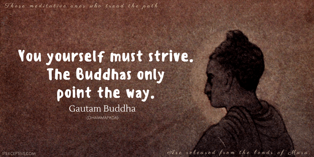 Gautam Buddha Quote: You yourself must strive. The buddhas only point they way.