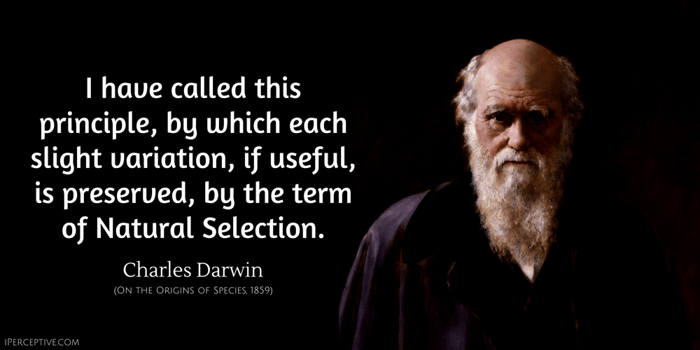 Charles Darwin Quote: I have called this principle, by which each slight variation, if useful, is preserved... 