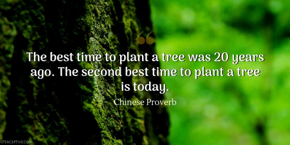 Chinese Proverb: The best time to plant a tree was 20 years ago. The second best time to plant a tree is today.
