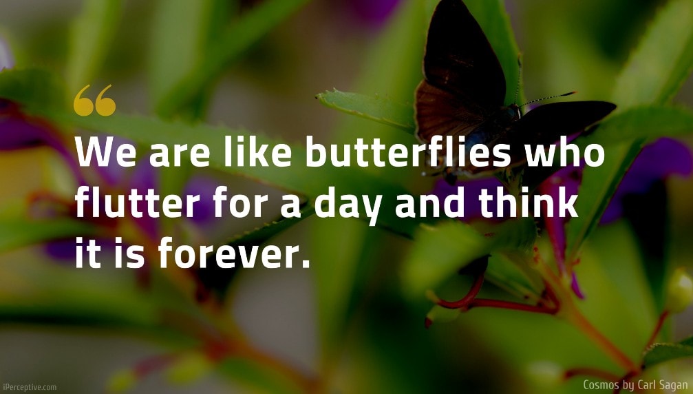 Carl Sagan Quote: We are like butterflies who flutter for a day and think it is forever.