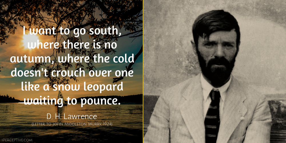 D. H. Lawrence Quote: I want to go south, where there is no autumn, where the cold doesn't crouch over one like a snow leopard waiting to pounce.