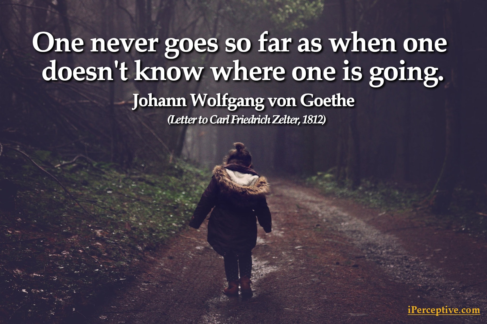 Goethe Quote: One never goes so far as when one doesn't know...