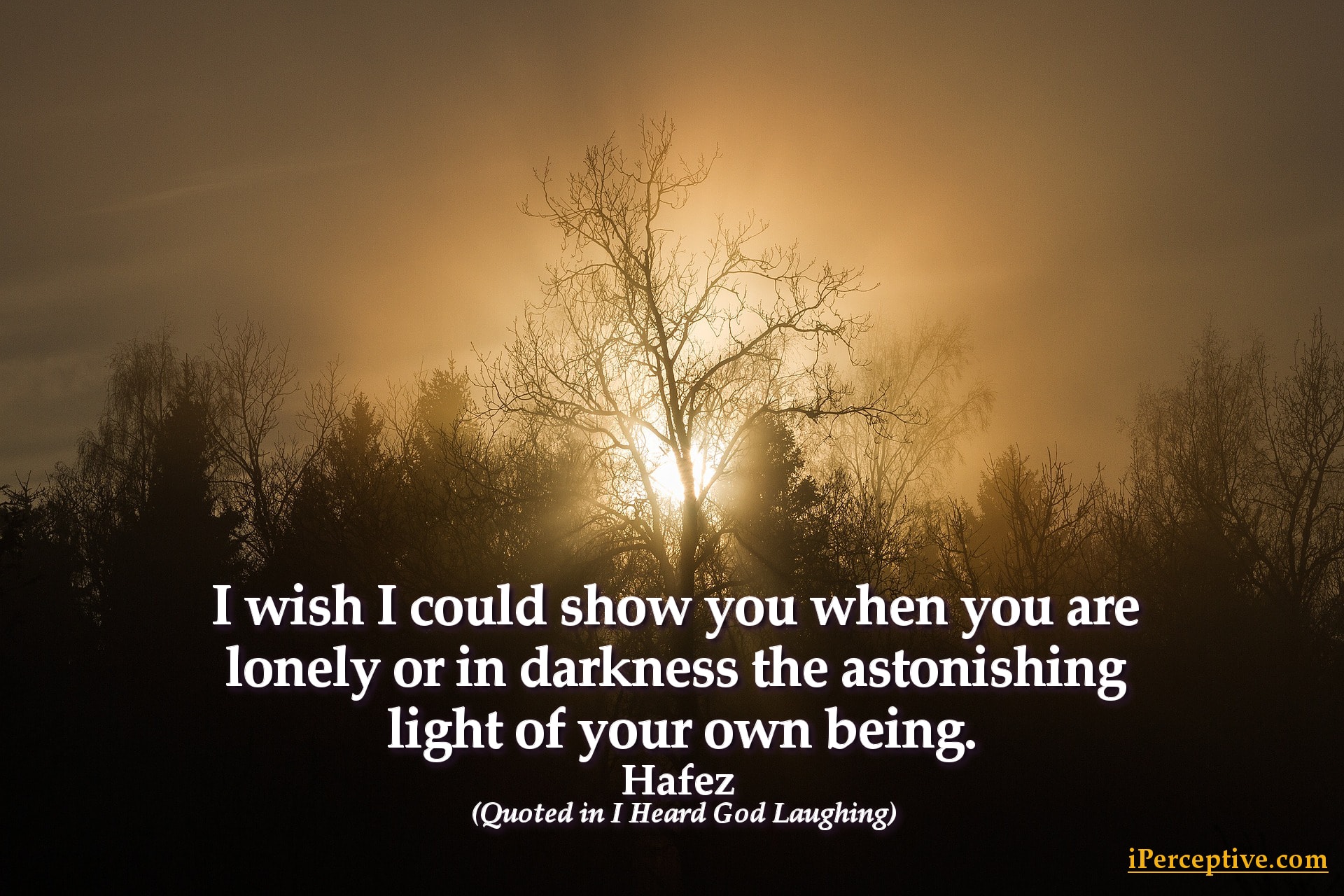 Hafez Quote: I wish I could show you when you are lonely or in darkness the astonishing light ...
