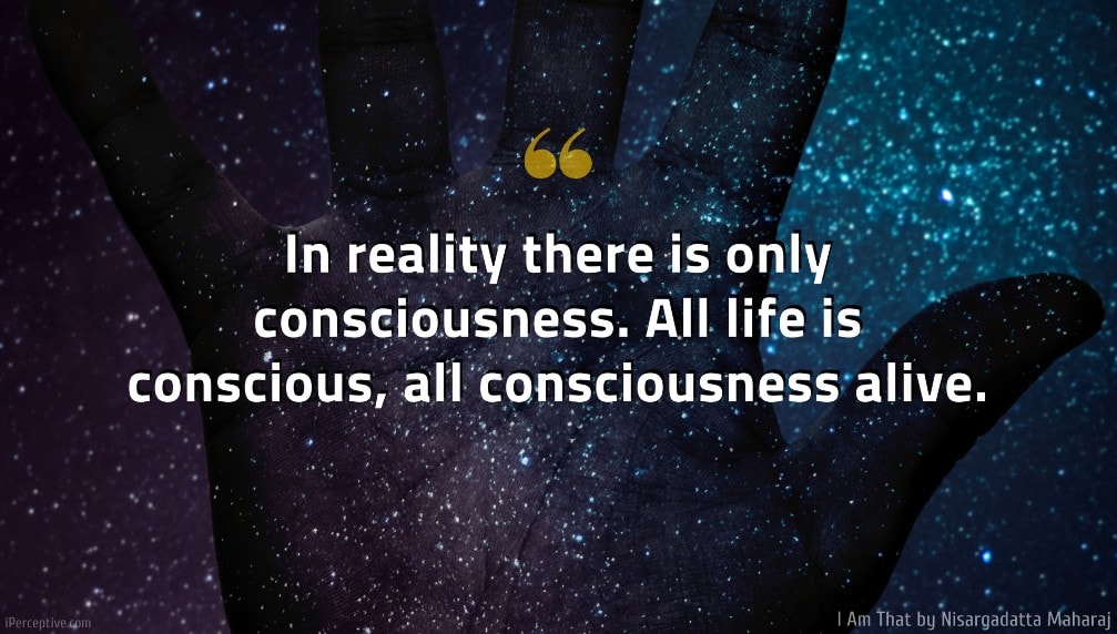 I Am That Quote: In reality there is only consciousness. All life is conscious, all consciousness alive.