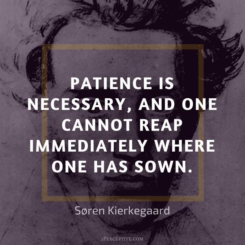 Kierkegaard Quote: Patience is necessary, and one cannot reap immediately where one has sown. 