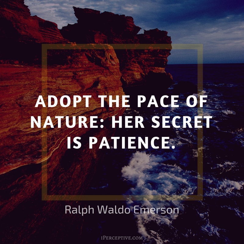 Ralph Waldo Emerson Quote: Adopt the pace of nature: her secret is patience. 
