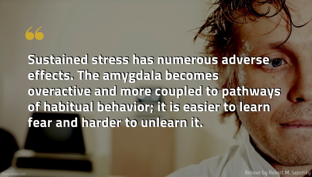 Robert M. Sapolsky Quote: Sustained stress has numerous adverse effects. The amygdala becomes overactive and more coupled to pathways of habitual behavior; it is easier to learn fear and harder to unlearn it.