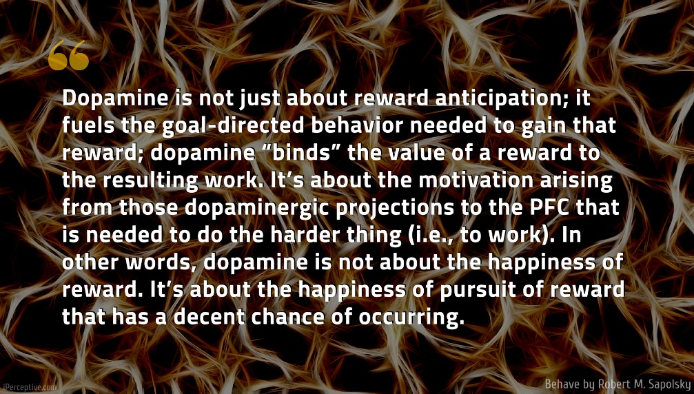 Robert M. Sapolsky Quote: Dopamine is not just about reward anticipation; it fuels the goal-directed behavior needed to gain that reward; dopamine “binds” the value of a reward to the resulting work. It’s about the motivation arising from those dopaminergic projections to the PFC that is needed to do the harder thing (i.e., to work). In other words, dopamine is not about the happiness of reward. It’s about the happiness of pursuit of reward that has a decent chance of occurring..