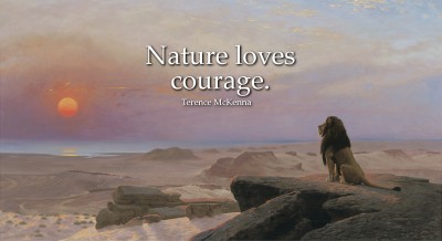 Nature Loves Courage: Positive quotes