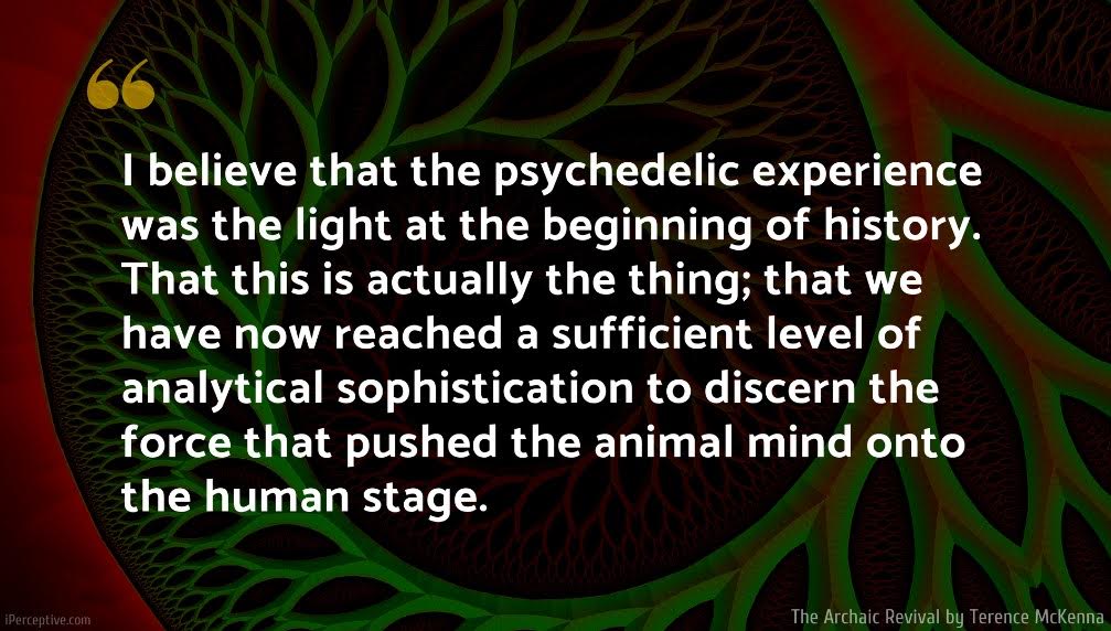 Terence McKenna Quote: I believe that the psychedelic experience was the light at the beginning of history. That this is actually the thing; that we have now reached a sufficient level of analytical sophistication to discern the force that pushed the animal mind onto the human stage.
