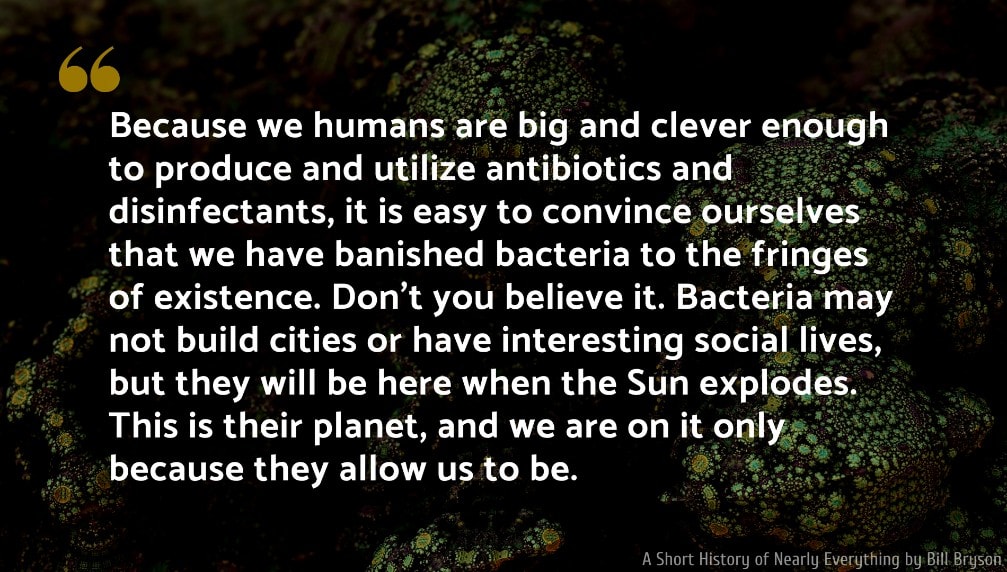 Bill Bryson Quote: Because we humans are big and clever enough to produce and utilize antibiotics and disinfectants, it is easy to convince ourselves that we have banished bacteria to the fringes of existence. Don't you believe it...