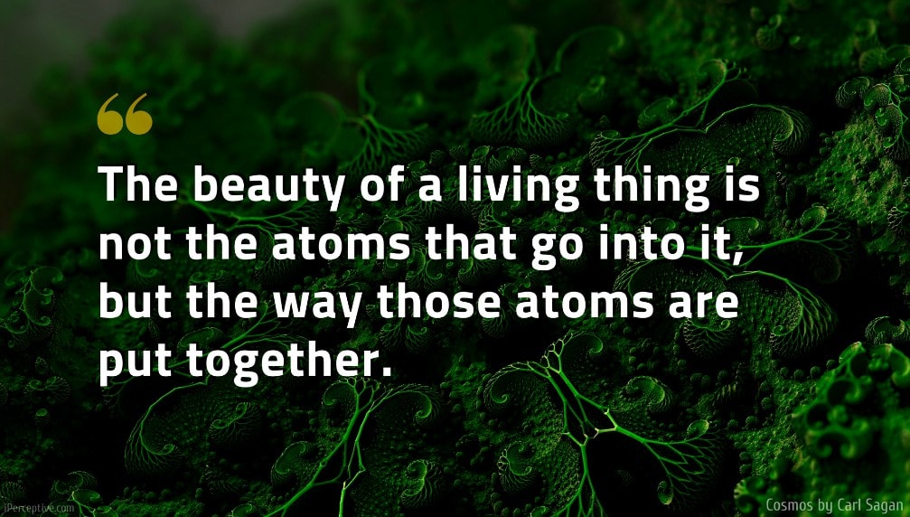 Carl Sagan Quote: The beauty of a living thing is not the atoms that go into it, but the way those atoms are put together.