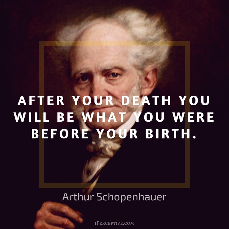 Schopenhauer Quote: After your death you will be what you were before your birth.