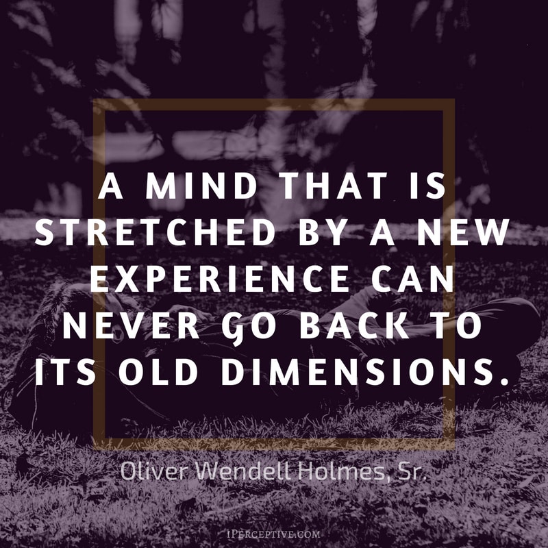 Oliver Wendell Holmes Sr Quote: A mind that is stretched by a new experience can never go back to its old dimensions. 