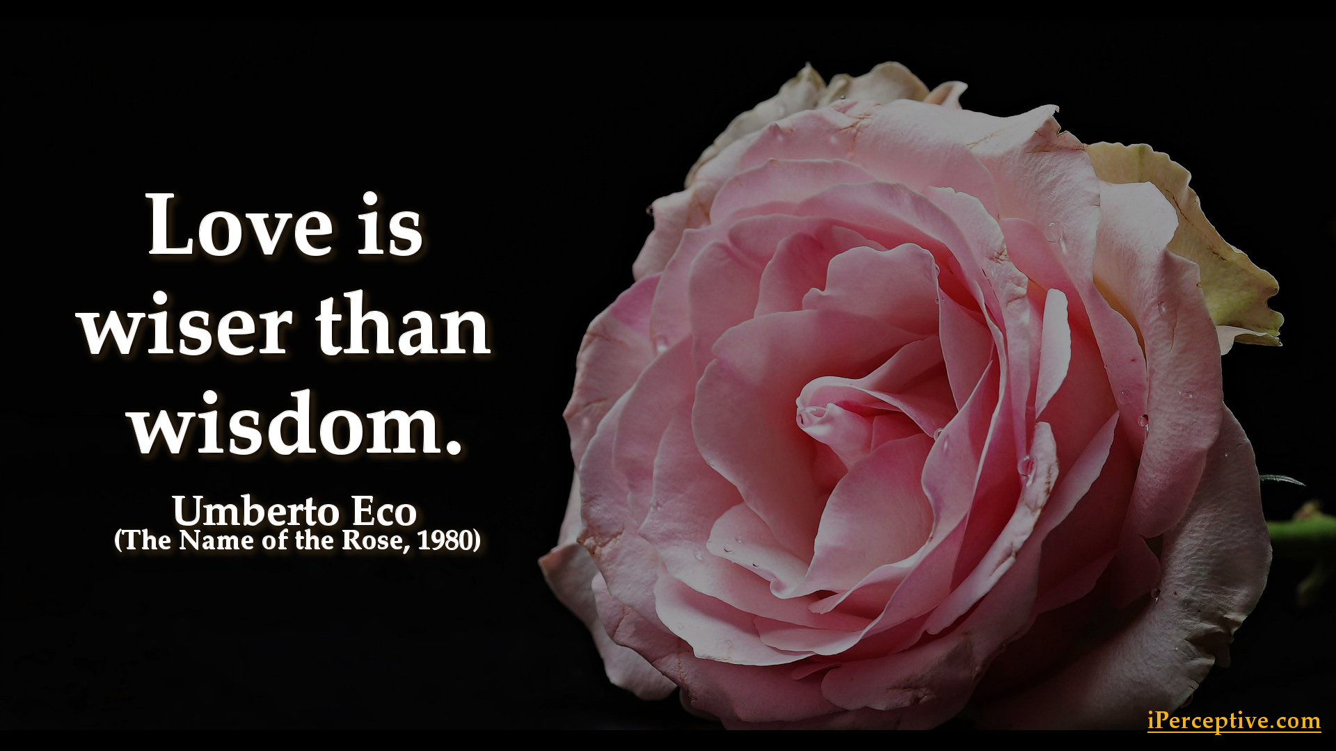 Umberto Eco Quote: Love is wiser than wisdom.