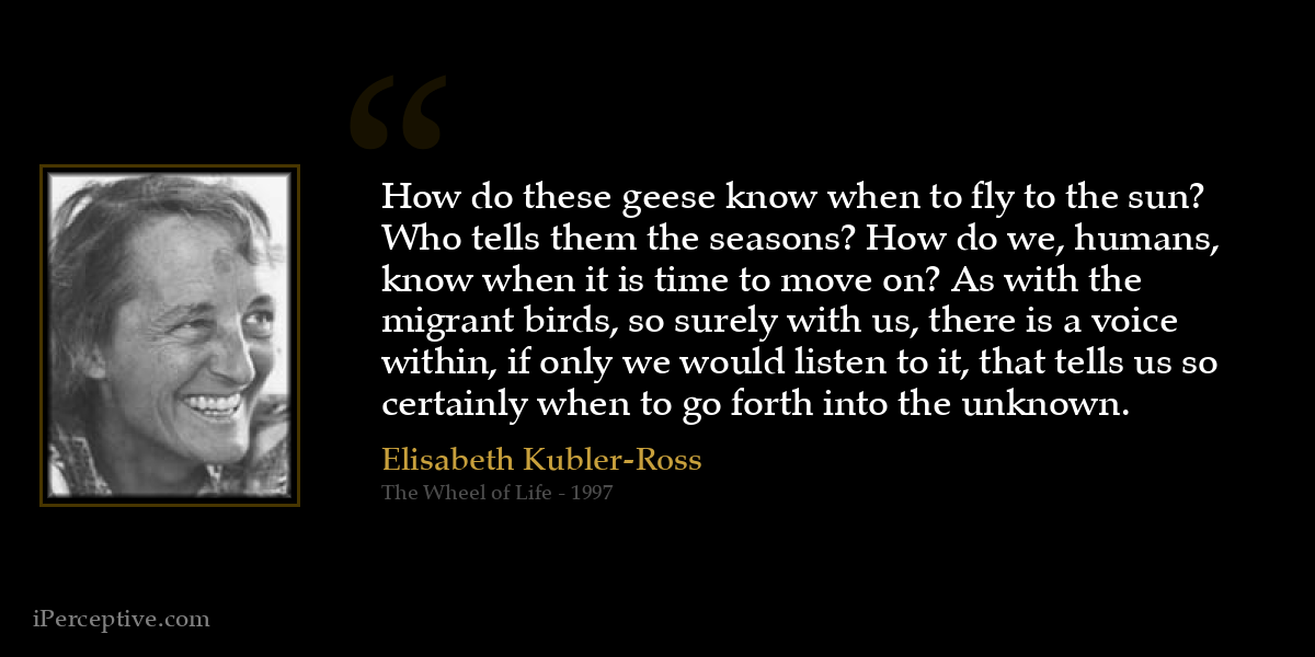 How do these geese know when to fly to the sun? Who tells them the seasons? How do we, humans, know when it is time to move on? As with the migrant birds, so surely with us, there is a voice within, if only we would listen to it, that tells us so certainly when to go forth into the unknown. - Elisabeth Kubler-Ross